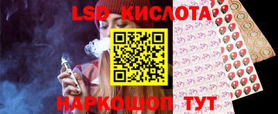 СК Новозыбков