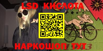 СК Новозыбков