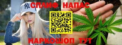 СК Новозыбков