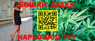СК Новозыбков