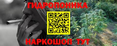 СК Новозыбков