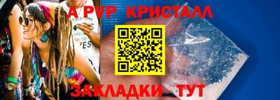 СК Новозыбков