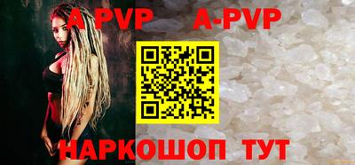 СК Новозыбков