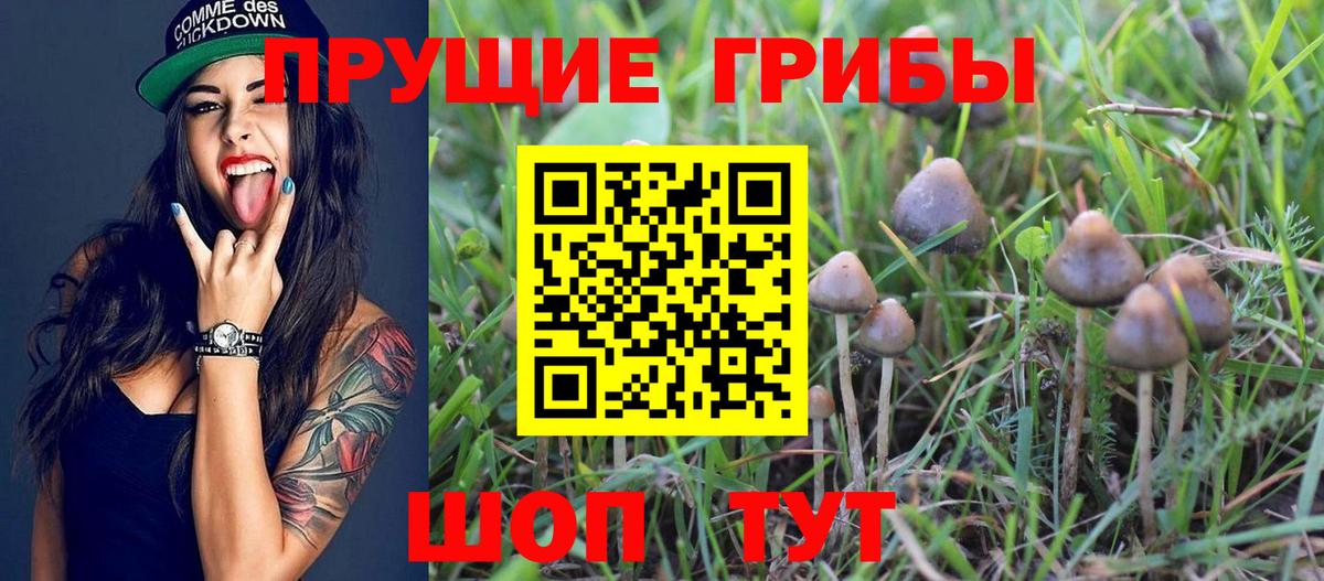 Галлюциногенные грибы ЛСД Буйнакск