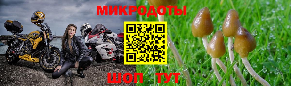 Галлюциногенные грибы Magic Shrooms  Вход с VPN  Буйнакск 